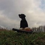 jeff geddes - @geddes3728 - Instagram