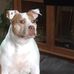 Jeff Geddes - Facebook