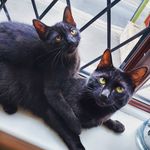 Jeff&Gerald - @jeff_geraldfloof - Instagram