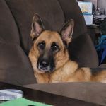 Jeff German - @jeff_gmanski - Instagram