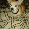 jeffreygeyer578 - @jeffreygeyer578 - TikTok