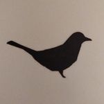 Jeff Gibbons - @jeffgibbons_studio - Instagram