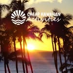 Jeff Gitlin - @cheaphawaiian - Instagram