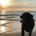 Jeff Goetz - @jeff.goetz.5 - Instagram