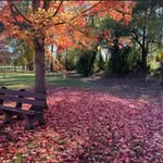 Jeff Goodall - @jeffgoodall2015 - Instagram