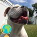 Jeff Grabowski - Facebook