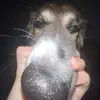 Jeff Grande - @gumby430 - TikTok