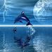 Jeff Grannan - Facebook