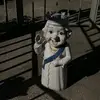 Jeff Gray - @jeffgray24567 - TikTok