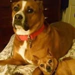 Jeff Winston Greco - @greco.jeff - Instagram