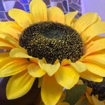Jeff Gregson - @jeffgregson3 - Instagram