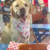 Jeff Gregson - @jeff.gregson585 - TikTok