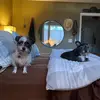 Jeff Gregson - @jeff.gregson94 - TikTok