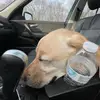Jeff Gregson - @jeff.gregson151 - TikTok