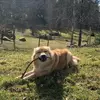 Jeff Gregson - @jeff.gregson265 - TikTok