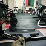 Jeff Grice - @jlg304 - Instagram