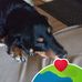 Jeff Grier - Facebook