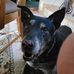 Jeff Grimm - Facebook