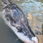 Jgrim - @jeffgrimolfson - Instagram