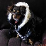 Jeffrey Grodsky - Facebook