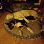 Jeff Gruber - @gruber_jeff - Instagram