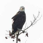 Jeff Guild - @jeff.guild.54 - Instagram