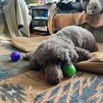 Jeff Guy - @jeff.guy.50159 - Instagram