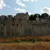 Jeff guy 🏴󠁧󠁢󠁥󠁮󠁧󠁿 - @jeff.guy98 - TikTok