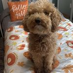 Jeff Hageman - @jeff.hageman.3 - Instagram
