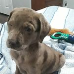 Jeff Hageman - @jeffhageman - Instagram