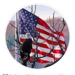 Jeff Hallam - @gosteed - Instagram
