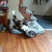 Jeff Hallam - Facebook