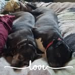 Jeff Hallock - Facebook