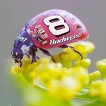 Jeff Halterman - @jeffhalterman59 - Instagram