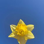 Jeffrey Neil Burkhalter - @jeffreyburkhalter - Instagram