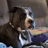 Jeff Halvorsen - @jeff.halvorsen - TikTok