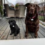 Jeff Hammett - @jmhammett - Instagram