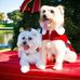 Jeff Handley - Facebook