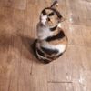 Jeff_Handley - @userq14uxnkkzl - TikTok