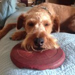 Jeff Hanley - @lumber486 - Instagram