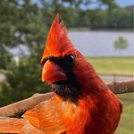 Jeff Hanley - @aresflight - Instagram