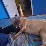 Jeff Harbison - @jeffharbison84 - Instagram