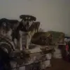 jeffhardwick663 - @jeffhardwick663 - TikTok