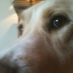 @jeffhardwick - Instagram