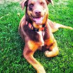 Jeff Hartley - @haoleboy58 - Instagram