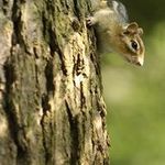 Jeff Harwell - @jeff.harwell - Instagram