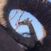Jeff Harwell - Facebook