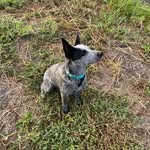 Jeff Harwell - @rvlc62009 - Instagram