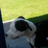 jeffreyharwell - @jeffreyharwell - TikTok