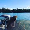 jeffhayden786 - @jeffhayden786 - TikTok